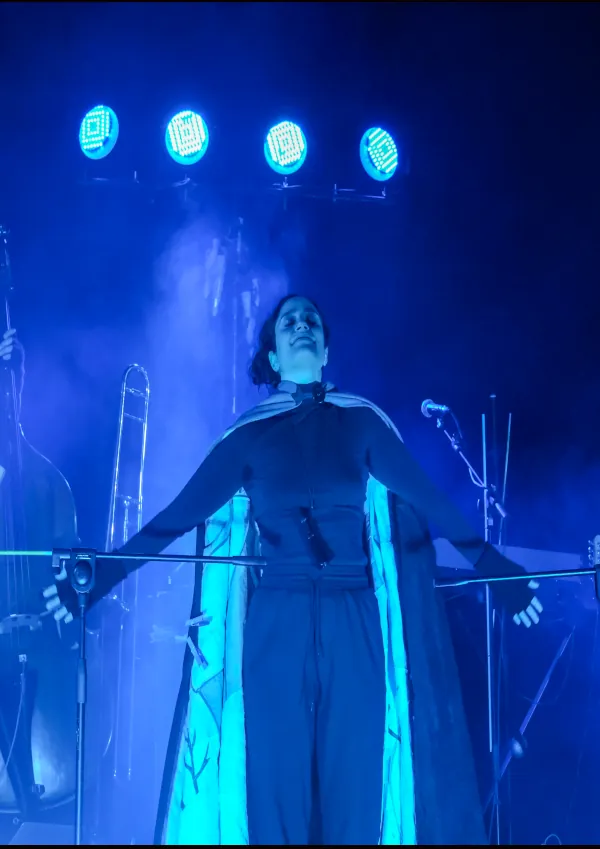 Il brutto anatroccolo – Un pennuto in blues – La Contrada